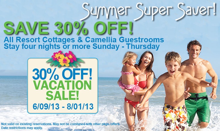 Summer Super Saver 2013