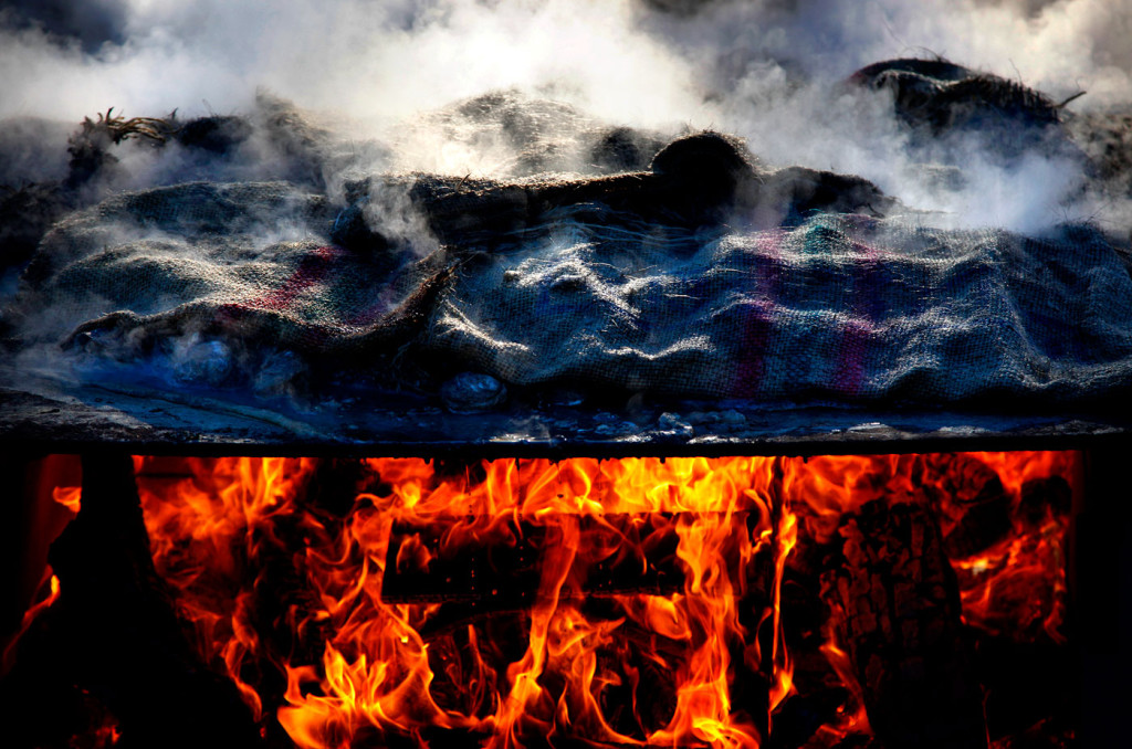 Oyster Roast